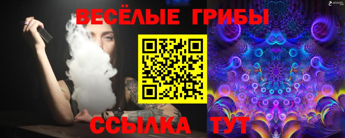 Бугульма  Галлюциногенные грибы Psilocybe  Вход с VPN 
