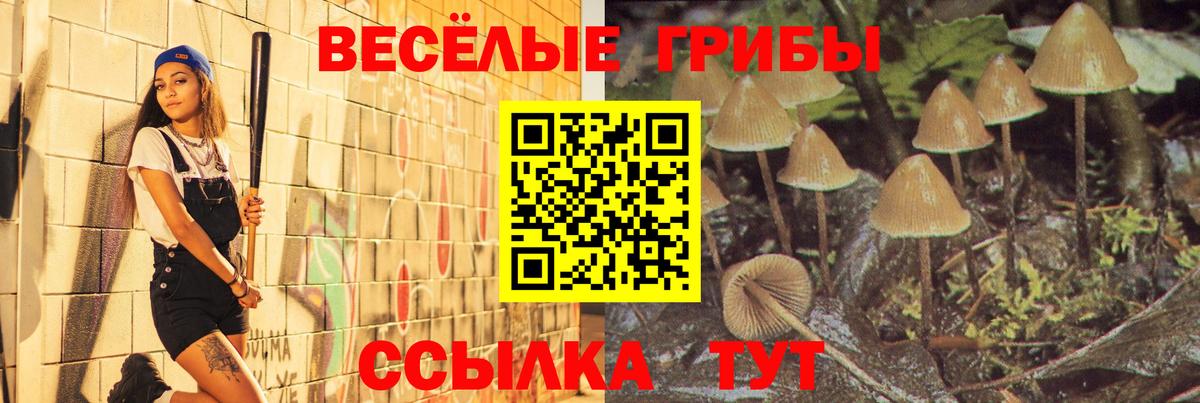 Галлюциногенные грибы Cubensis Бугульма